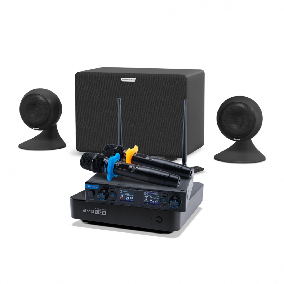 караоке-комплект EVOBOX + EvoSound Sphere 2.1 в Боре
