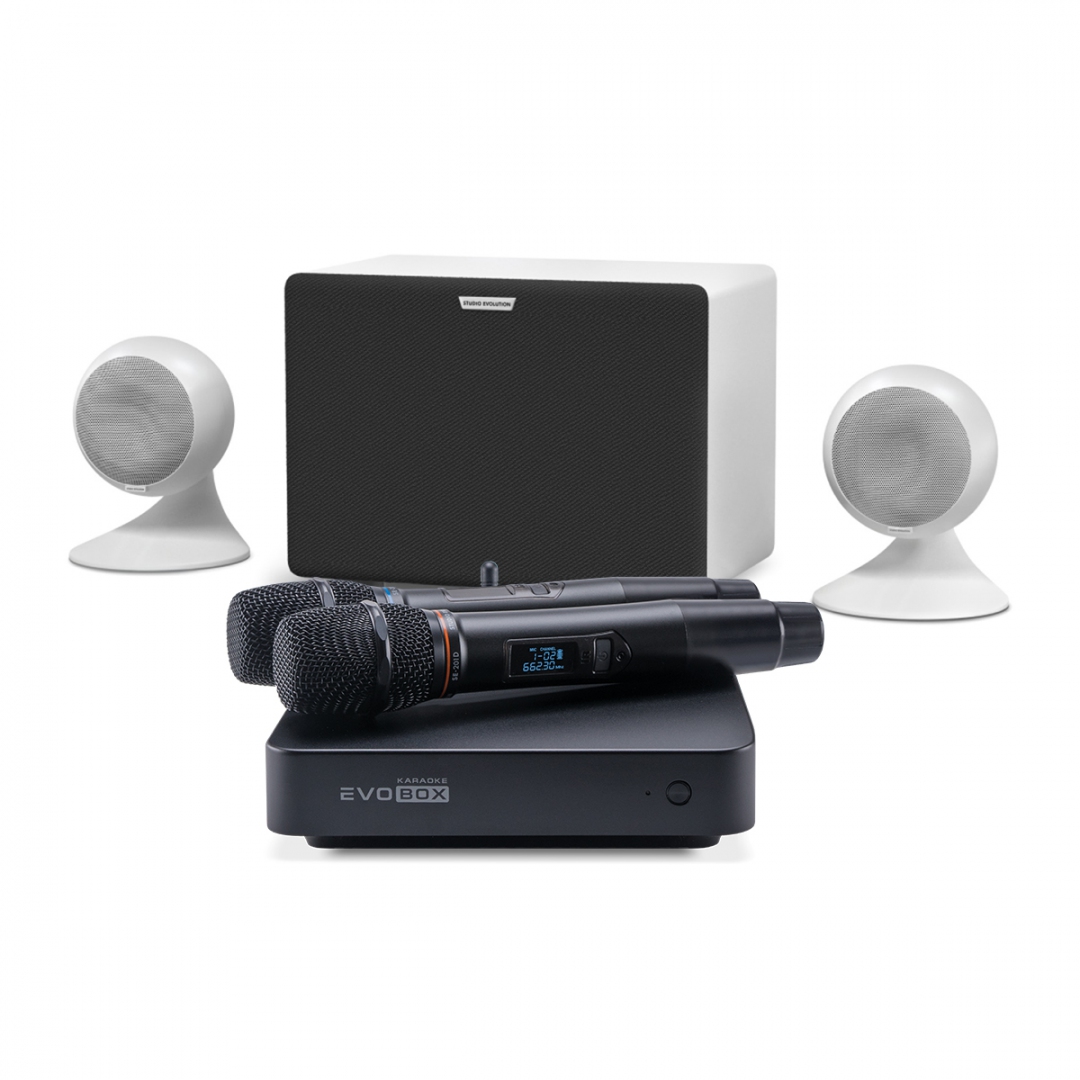 караоке-комплект EVOBOX Classic + EvoSound Sphere 2.1 в Боре