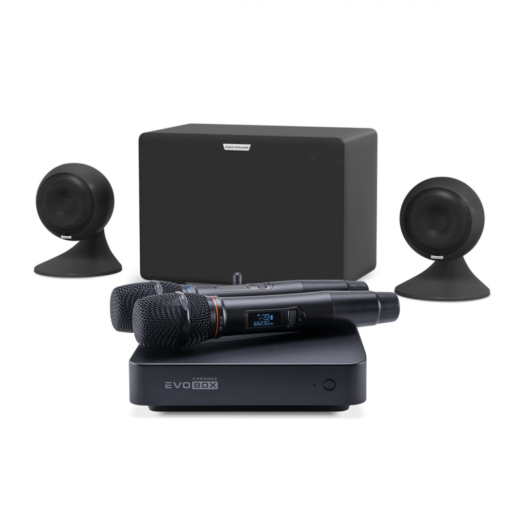 караоке-комплект EVOBOX Plus + EvoSound Sphere 2.1 в Боре