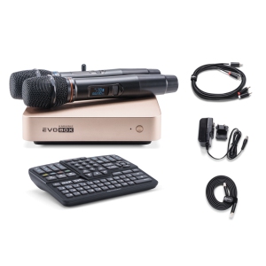 EVOBOX Classic караоке-система для дома в Боре