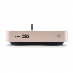 EVOBOX Plus караоке-система для дома в Боре