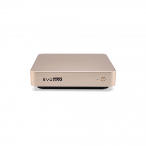 EVOBOX с микрофонами в Боре