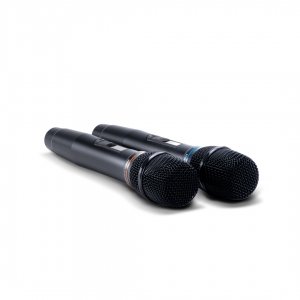 SE-200D цифровые микрофоны в Боре